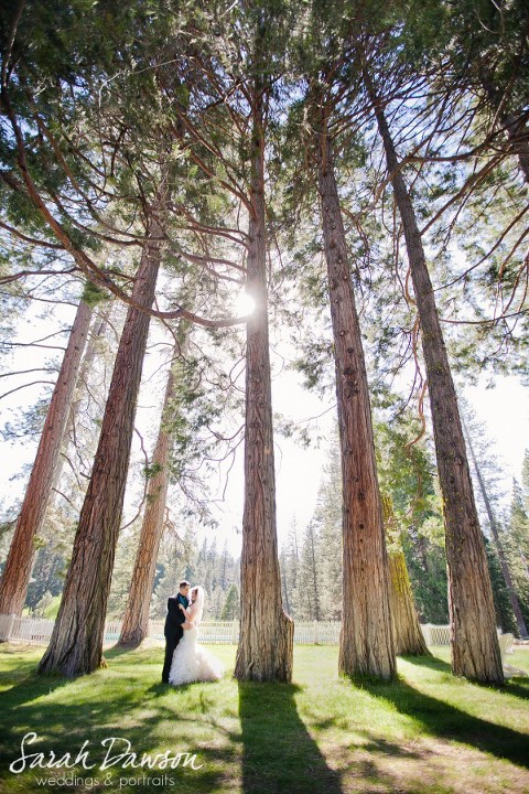 Yosemite Valley, Sacramento Wedding photographer, Sarah Dawson, fine art, portraits, weddings, engaged, engagement photos, Paris, NYC, New York City