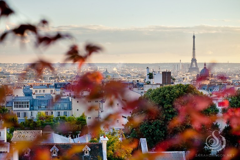 paris in the fall sarah dawson photography