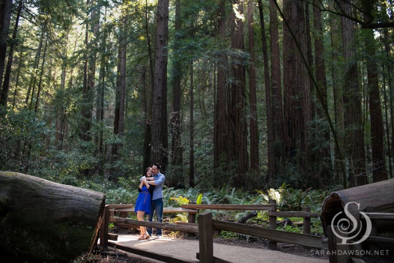 ellen and jon engaged web-4