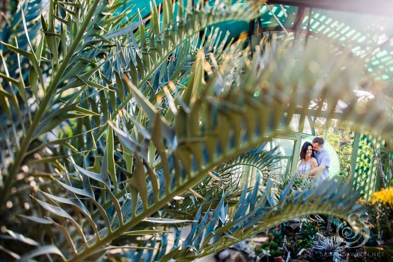 em and jon engaged mount diablo engagement session sarah dawson photography-1